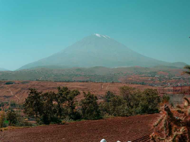 La tierra que nos une: voces campesinas en la búsqueda de&nbsp;justicia